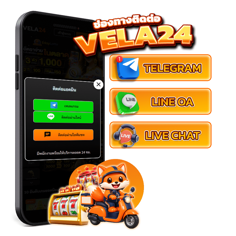 ติดต่อ vela24